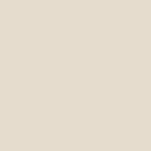 Workshop therapy - light coloured women's t-shirt Design